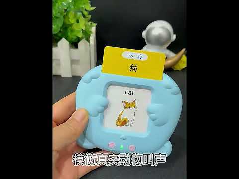 Talking Flash Cards