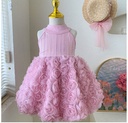 Girl Dress