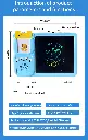 O1CN01EQQBOu1d3UTov7PGX_!!2200737153680-0-cib.webp