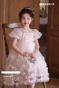 O1CN01YHSbeB1SSGIIdtKMD_!!2473222245-0-cib.webp