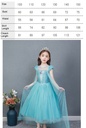 Elsa Dress Costume