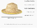 New Bitmap Image (3).webp