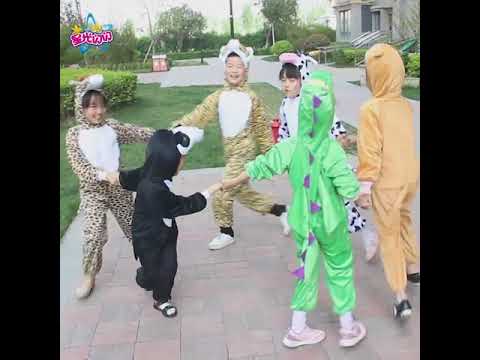 Animals Costume