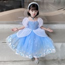 Cinderella Princess Dress Costume