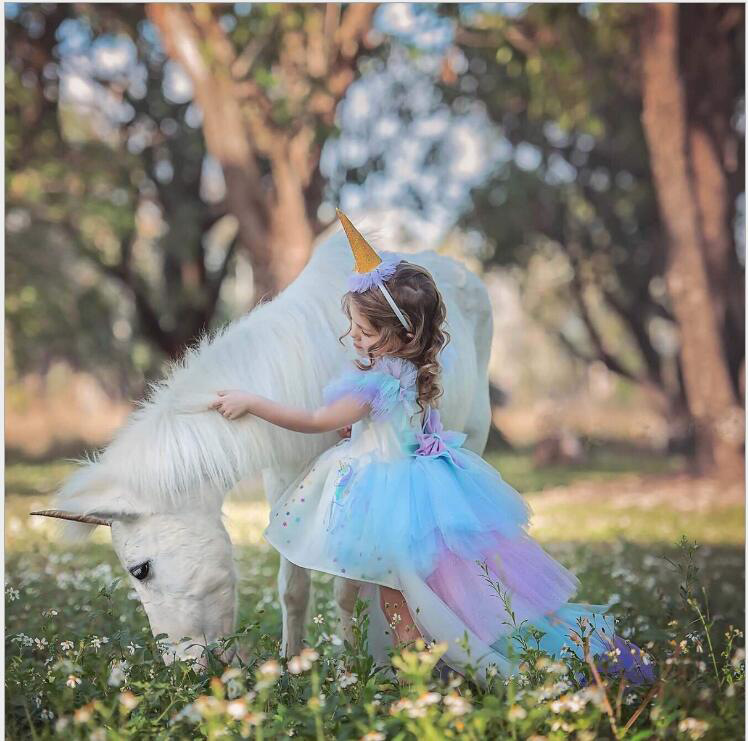 Unicorn Dress Costume