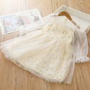 Girl Dress