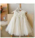 GIRL DRESS