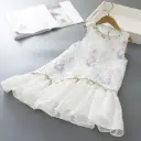 Girl Dress
