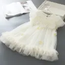 Girl Dress