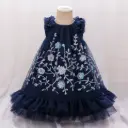 Girl Dress