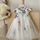 Girl Dress