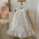 Girl Dress