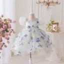 Girl Dress